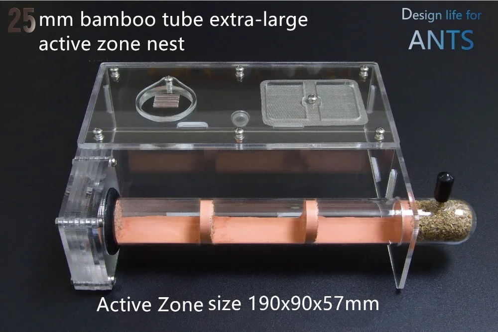 Одна трубка из бамбукового стекла 25 мм муравьиные гнезда муравьиная королева