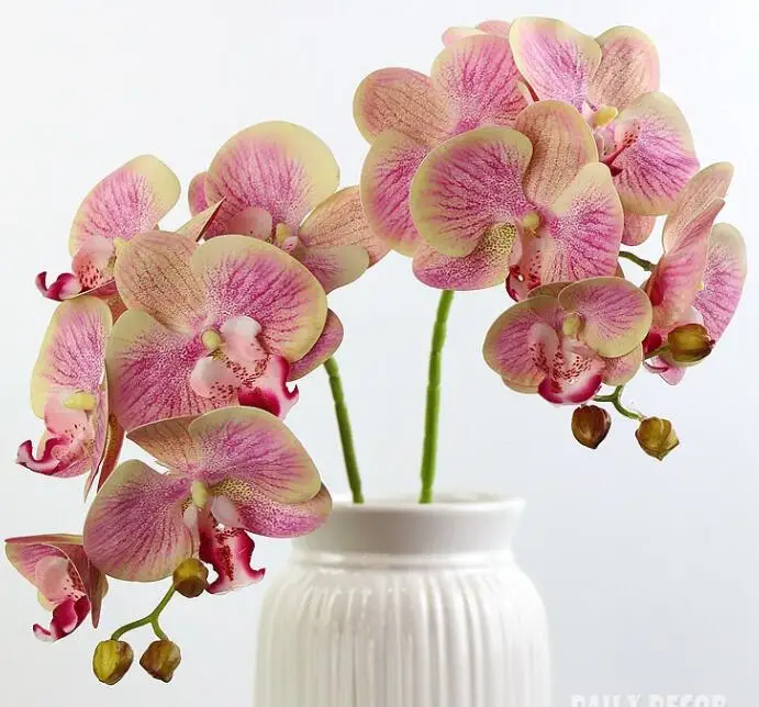 A orchids 30 шт./лот! 3D реального сенсорный 6 глава Искусственные бабочки орхидеи свадебные декоративные фаленопсис EMS - Цвет: A orchids