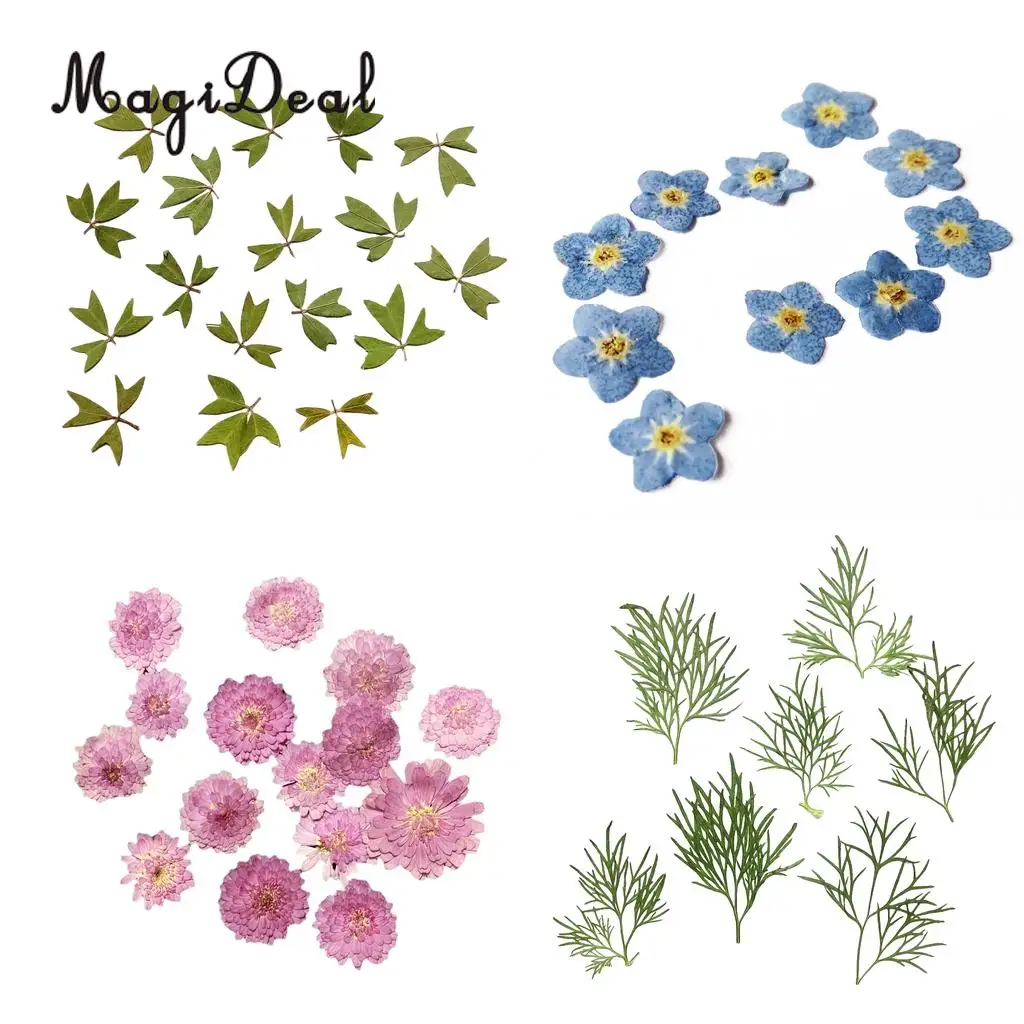 10x нажимается настоящие сухие цветы листья для поделки своими руками закладка