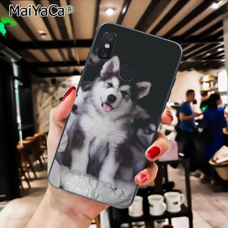 MaiYaCa породы Хаски; милый щенок собака чехол для телефона для Xiaomi Redmi8 4X 6A S2 7A 6A Redmi 5 5Plus Note5 7 Note8Pro