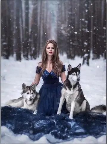 Бриллиантовая живопись Алмазная вышивка девушка and wolf полностью круглая