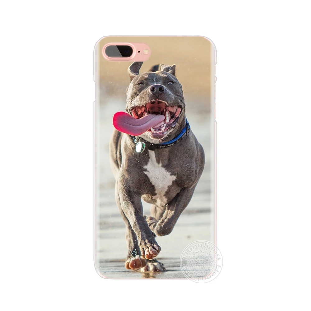 HAMEINUO pitbull dog Чехол для мобильного телефона iphone 6 4 4s 5 5s SE 5c 6s 7 8 plus чехол X|case for iphone|case
