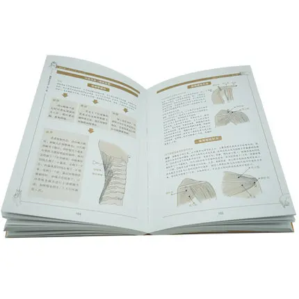 Графическая иглоукалывание и прижигание Daquan китайские книги по медицине zhong yi zhen
