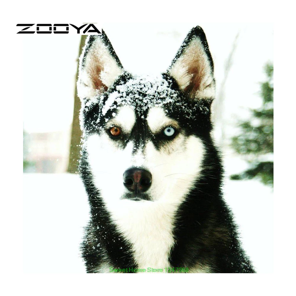 ZOOYA Алмазная картина животные вышивка собаки ремесла DIY Украшение дома мозаичная