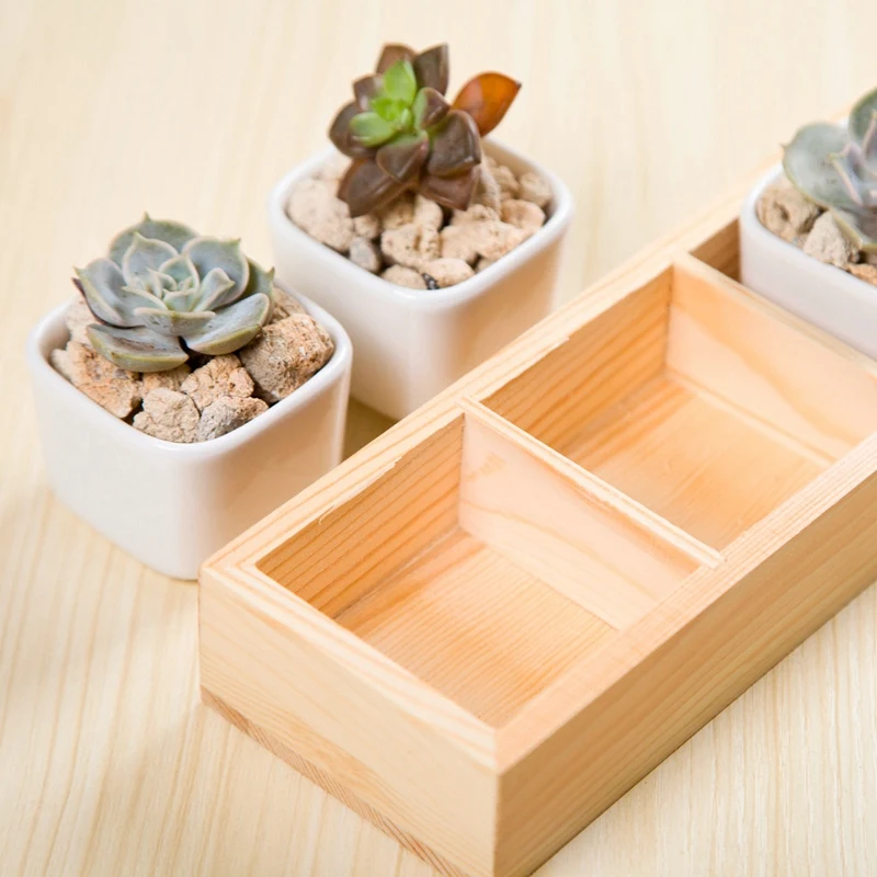 SHGO-1Set Of Modern Decorative Small White Square Ceramic Succulent Plant Pot 5 Flower Planters With 1 Wooden Tray Box Home | Дом и сад