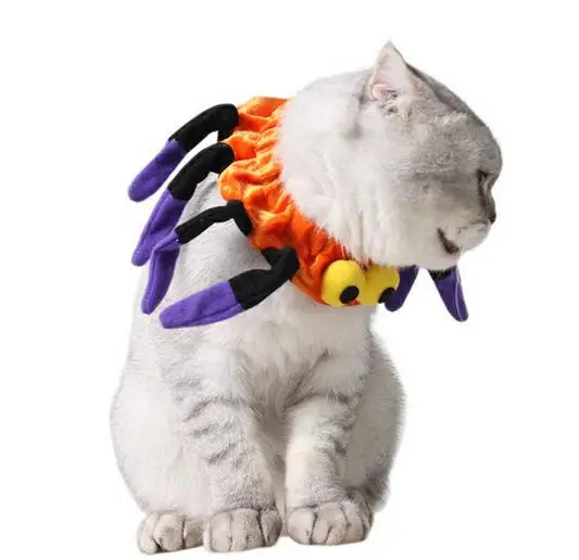 30 шт./лот оптовая продажа Хэллоуин кот/собака Милая мультяшная одежда для