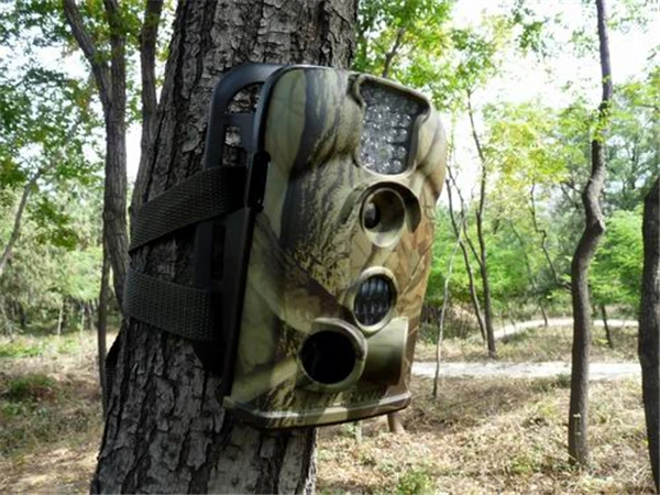 2015 Rushed Camera Digital free Shipping Brand Ltl Acorn 5210a 940nm Blue Ir Led 12mp Hunting Gsm Free Shipment | Спорт и