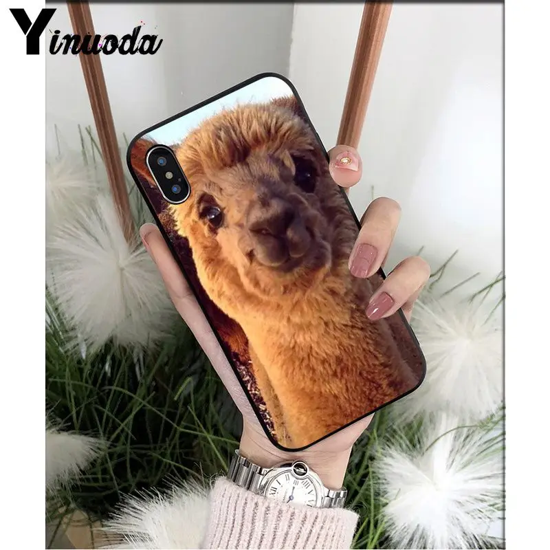 A8 Yinuoda лама Alpacas животное умный чехол черный мягкий чехол для телефона для iPhone X XS MAX 6 6S 7 7plus 8 8Plus 5 5S XR - Цвет: A8