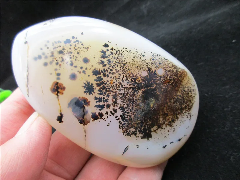 Natural Polished Aquatic Plants Agate Crystal Chakra Healing Reiki Stone Madagascar | Дом и сад
