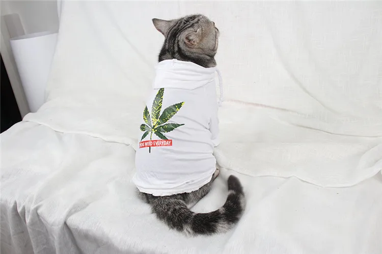 Traumdeutung Одежда для кошек Толстовка маленькая куртка для домашних животных котенок одежда костюм для собак Одежда для йоркширского терьера щенок kattenmand
