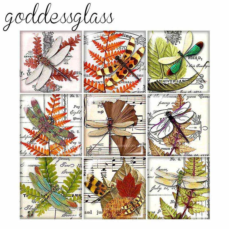 New dragonfly beauty patterns 10pcs mixed 12mm/20mm/25mm/30mm Square photo glass cabochon demo flat back Making findings | Украшения и