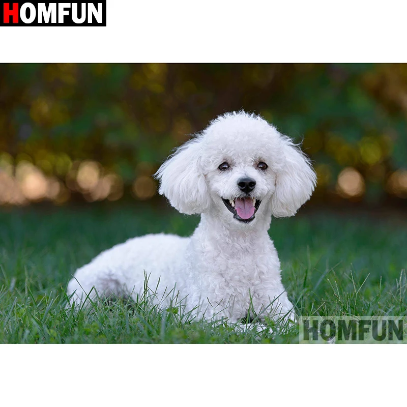 

Алмазная 5D картина HOMFUN, алмазная вышивка «животное, собака», картина стразы, ручная работа, домашний декор, A26157