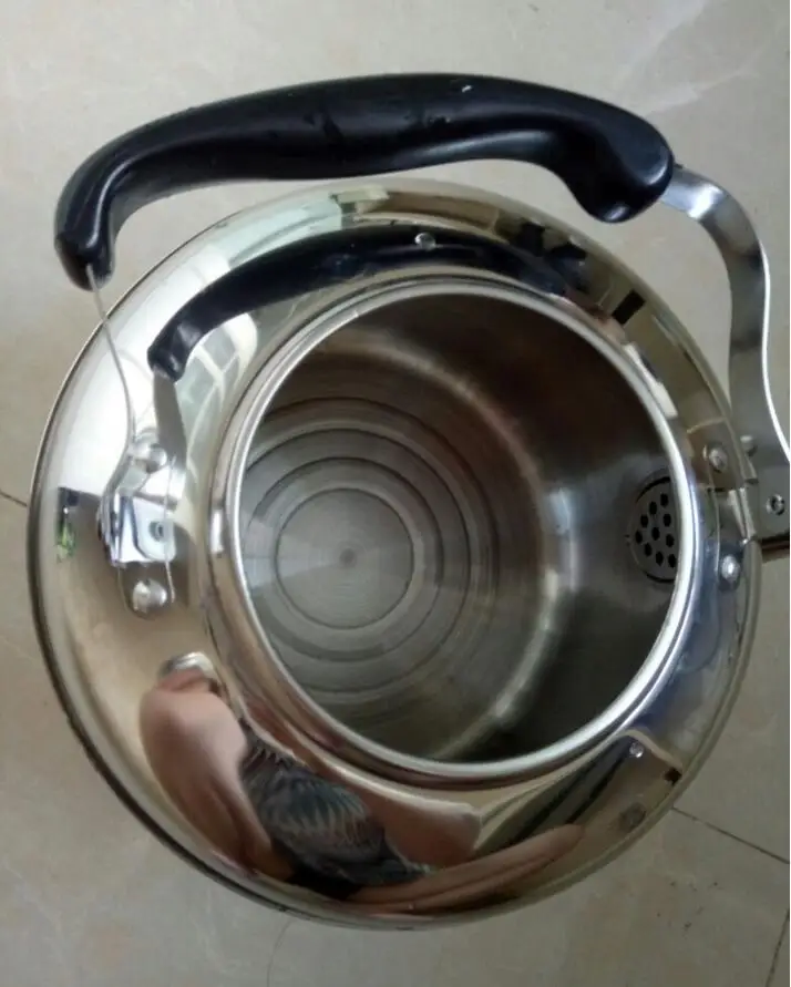 Настоящая Горячая из нержавеющей стали 4L чайник для воды индукционная плита чайники для кемпинга печь чайник со свистком инструменты