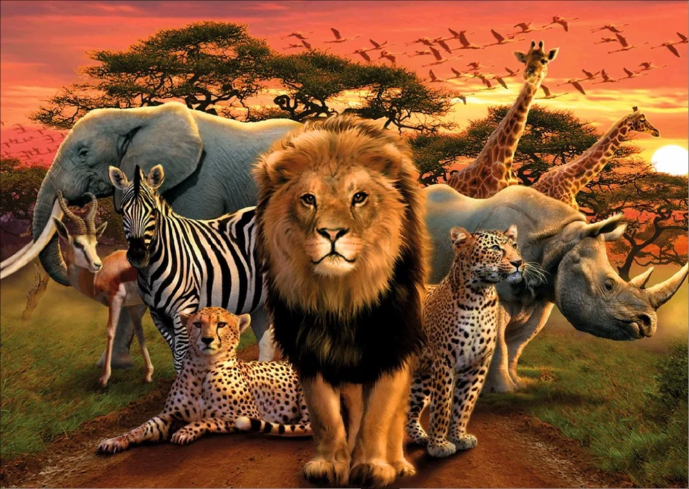 Лев леопард жираф носорог слон Зебра 5D поделки алмазов картина вышитые алмазная