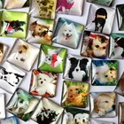 ZEROUP 20 шт.лот 18-25 мм Прозрачный квадратный стеклянный кабошон с рисунком собаки, смешанный цвет, подходит для cameo, Базовая Настройка TP-005-S