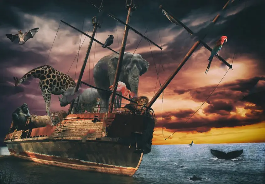 Noahs Ark Fantasy Animal Ship Old Wooden photo backdrop Computer print children kids background | Электроника