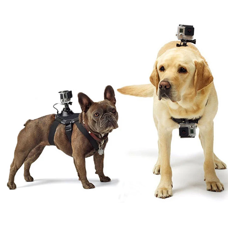 Petshy GoPro собачий жгут нагрудный ремень крепление для камеры для собаки кошки для путешествий на открытом воздухе для прогулок серфинга собачий нагрудный ремень аксессуары для камеры