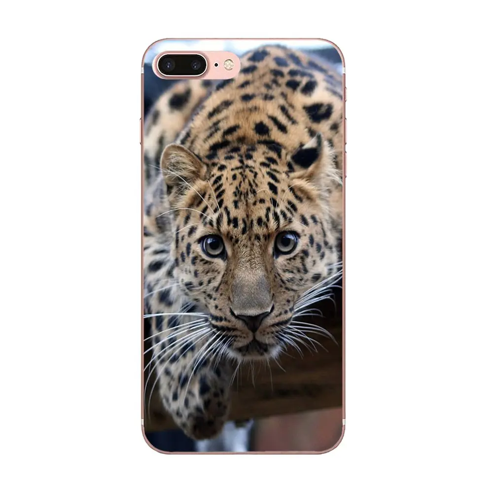Рисунок тигра белый Nofear усы полосы для Galaxy J1 J2 J3 J330 J4 J5 J6 J7 J730 J8 2015 2016 2017 2018 mini
