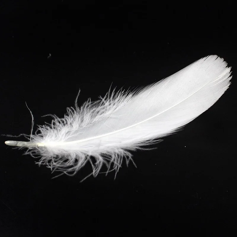 Wxboom 120 шт. Белые Перья Гуся для Ремесла Украшения (6 8 дюймов)|decorative feathers|white goose