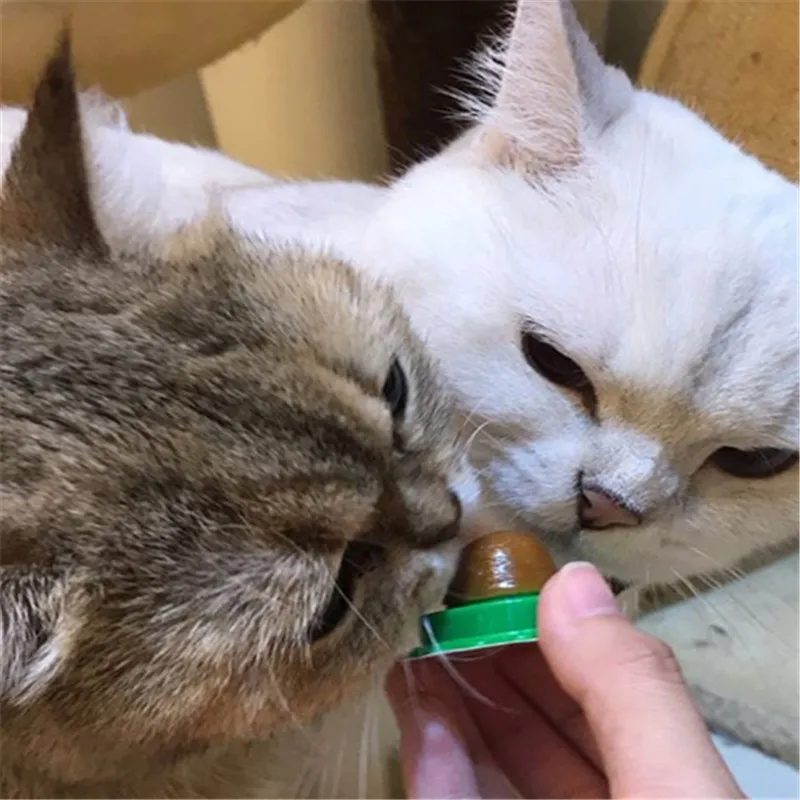 Закуски котенок конфеты Мячи лизать Твердые питания гель энергетический шар для