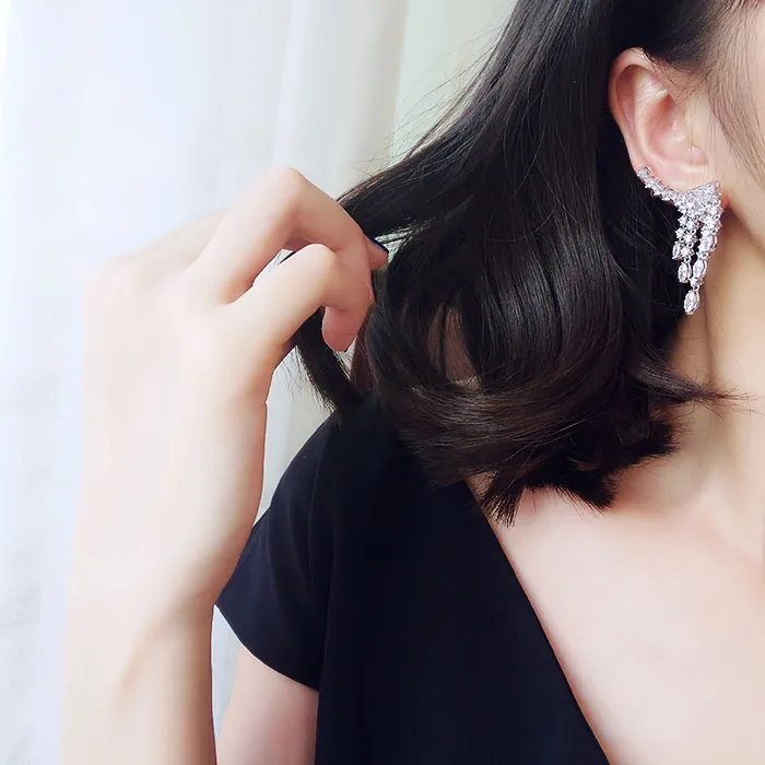 Новое поступление модные роскошные серьги капельки с бахромой из фианита 1