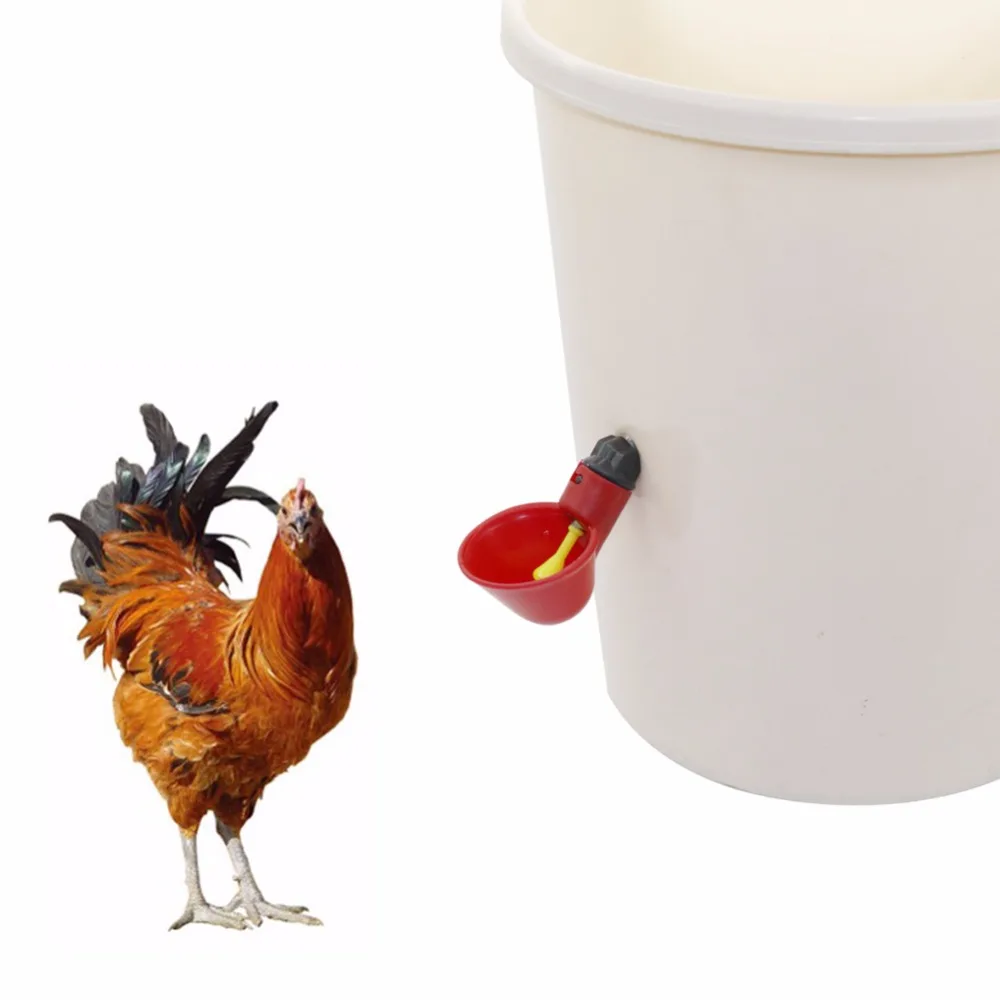 50 шт. чаши для питьевой воды птицы автоматическая поилка перепелок кур