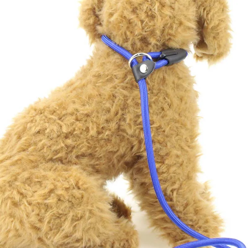 140cm Length 0.6/0.8/1.0cm Diameter Nylon Dog Leash Rolled Round Strong Slip Dog Lead Collar Pet Training Rope Correa Perro 10E