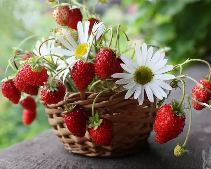 DIY Алмазная картина полная круглая мозаика Наклейка Декор вышивка крестиком