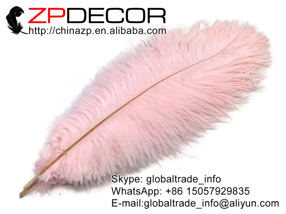 ZPDECOR 100 шт./лот 25 30 см (10 12 дюймов) ручной выбор премиум качества Красивые светло