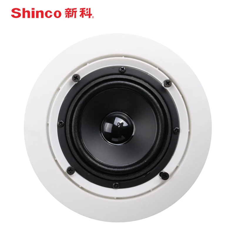 Bluetooth активные потолочные колонки Shin co стерео цифровая фотография круглая музыка