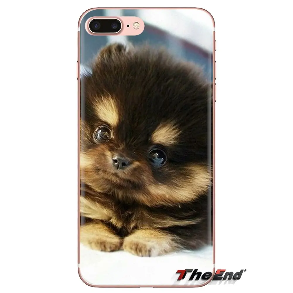 Pomeranian puppy dog для Oneplus 3T 5T 6T Nokia 2 3 5 6 8 9 230 3310 1 7 Plus 2017 2018 прозрачные мягкие чехлы |