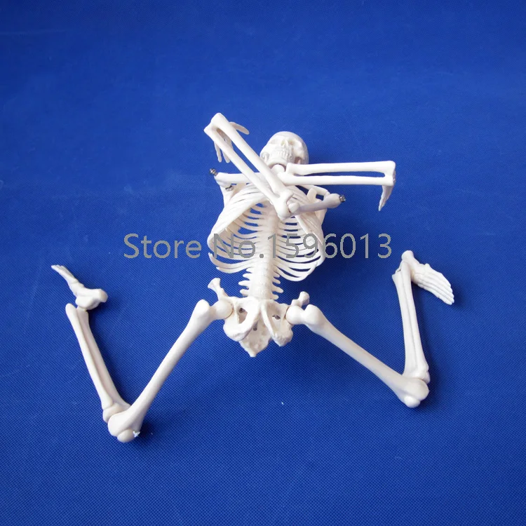 Горячая Распродажа модель Φ 45 см человеческого скелета|mini diecast models|mini fashionmini p |