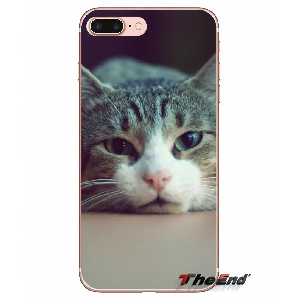 Забавные аксессуары для кошек чехлы телефонов Чехлы iPhone X 4 4S 5 5S 5C SE 6 6S 7 8 Plus Samsung