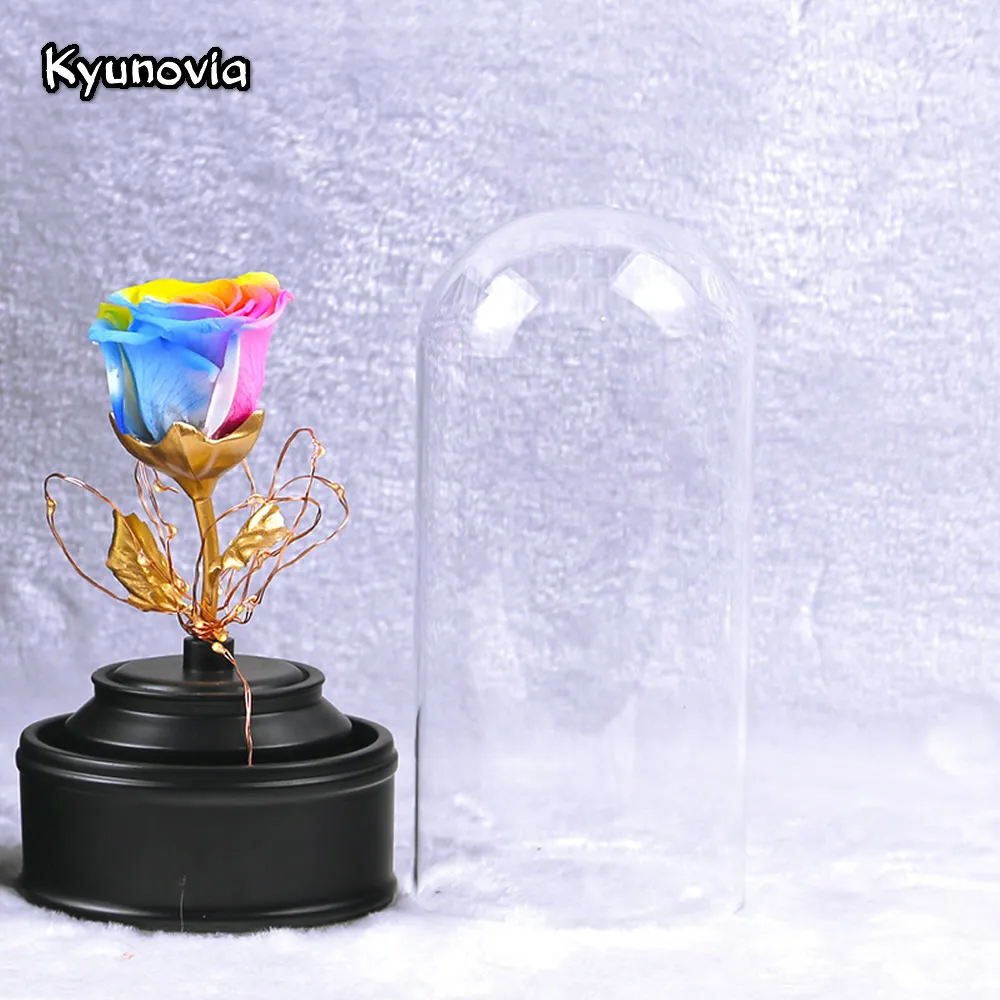 Kyunovia свежий сохраненный настоящий цветок розы со светодиодной подсветкой