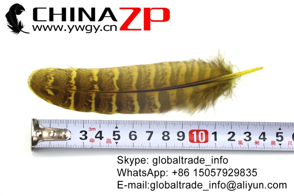CHINAZP завод 100 шт./лот хорошее качество Цветной желтый натуральный Ringneck Несушка