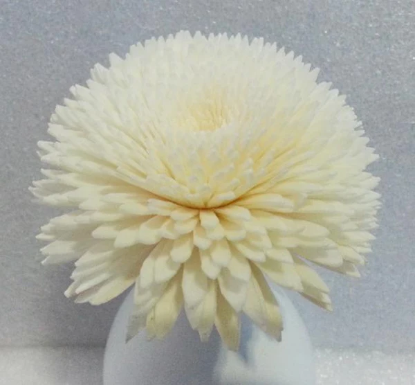 

1000 pcs /lot Handmade sola wood flowers for fragrance diffuser and home decor with 12cm Rope or rattan reed sticks Top quality