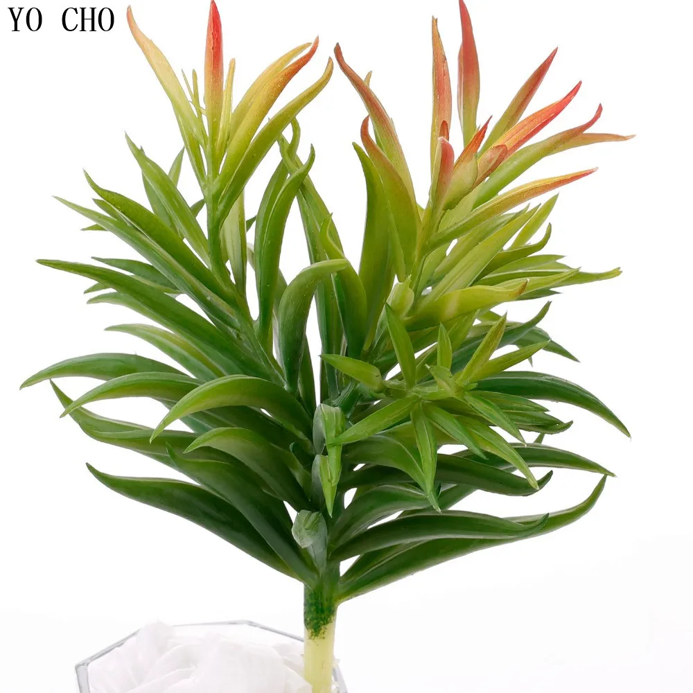 

High quality succulent plants plastic Dianthus simulation plants silk flowers artificial plants for decoration home fake plants