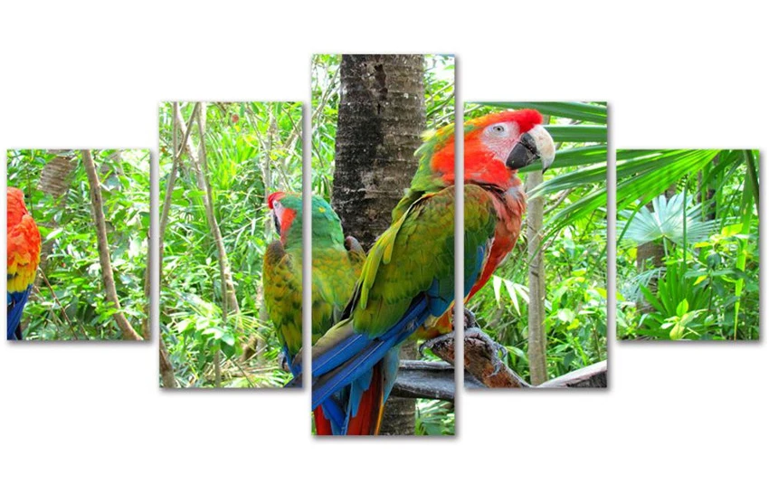 

5D Parrot bird animal full spuare&round 5d diamond painting crystal Painting diamonds decorative 5d diy diamond embroidery kits