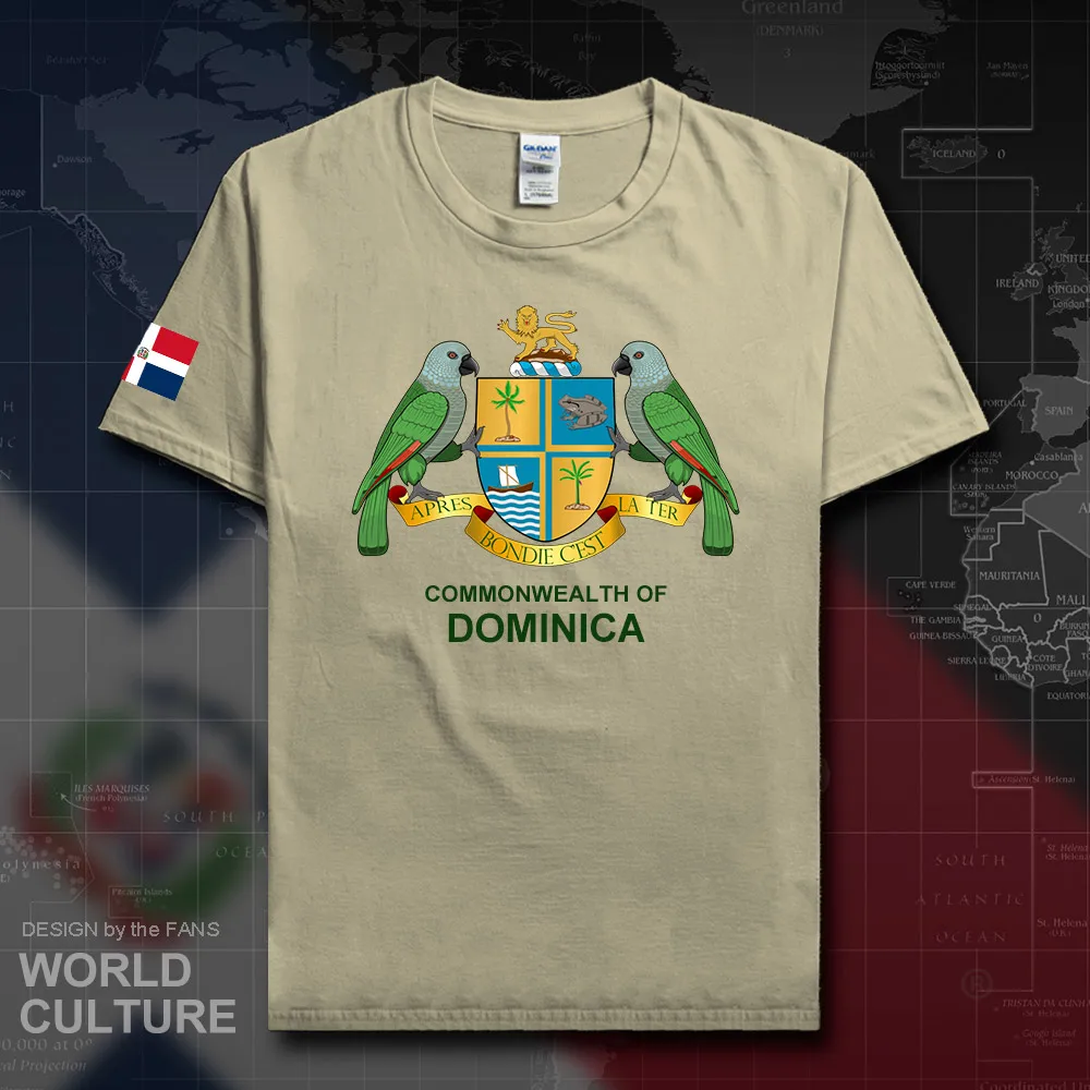 Dominicana DOM Мужская футболка мода 2018 трикотажные изделия национальная команда