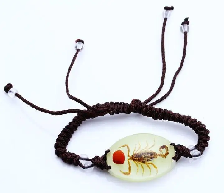 Реальный Золотой Скорпион блестящий браслет насекомое ювелирные изделия