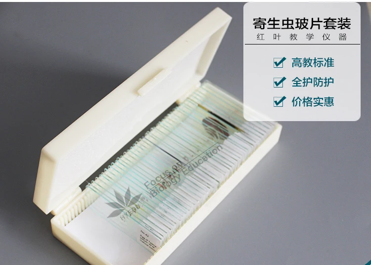42 шт. подготовленные для изучения биологии микроскопа|microscope slides|microscope prepared slideslides