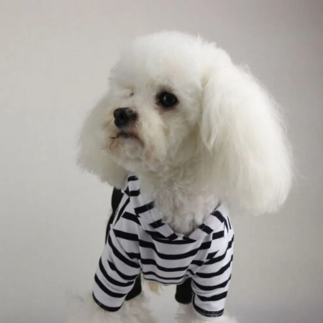 Комбинезоны для собак мягкий Pet Jean Colthes костюм для маленьких средних собак Одежда для йоркширских терьеров зимний комбинезон для собак кошек теплый