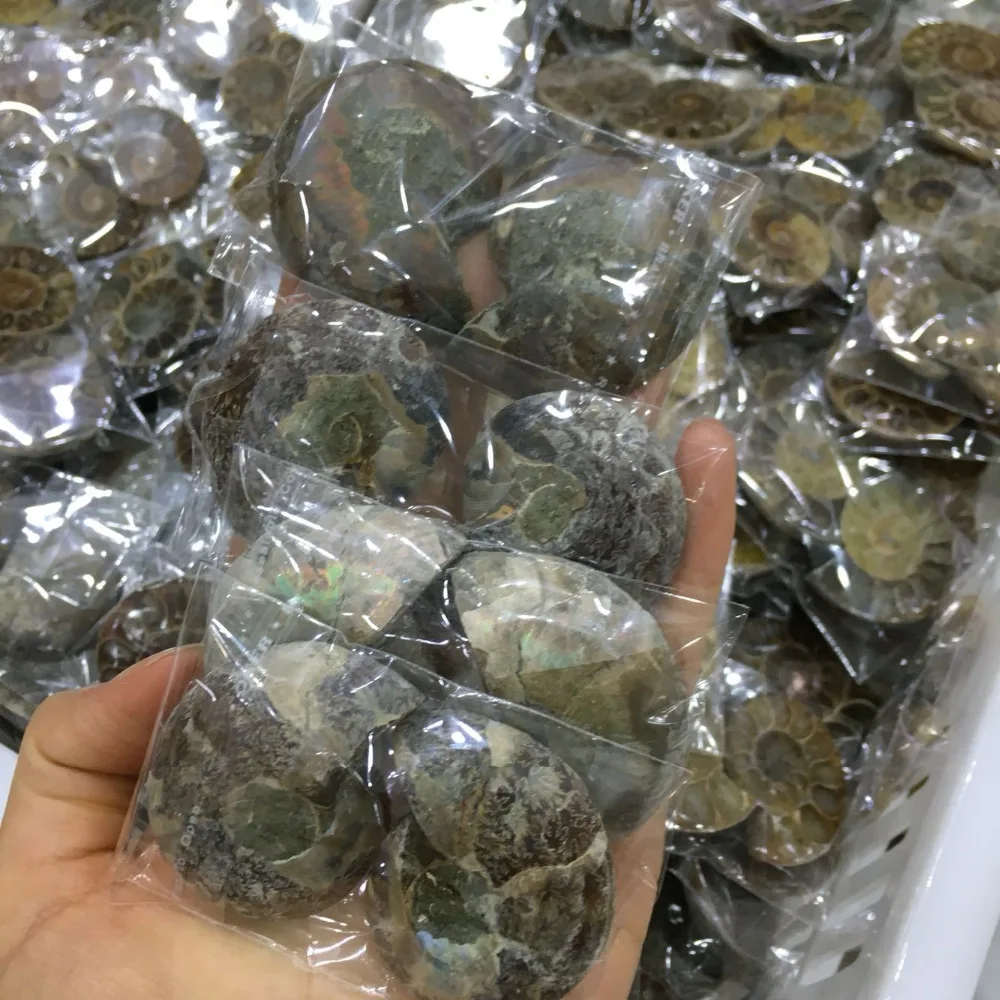 

1lb Natural Rainbow Split Ammonite Fossil Cut in Half Madagascar healing. Pairs ,Wholesales Price, Free Shipping
