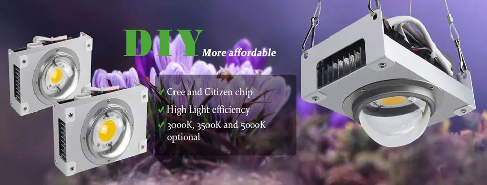 CXB3590 COB светодиодный светильник для выращивания полный спектр 100 Вт 200 Вт Citizen 1212 светодиодный светильник для выращивания растений для комнатных палаток теплиц гидропоники