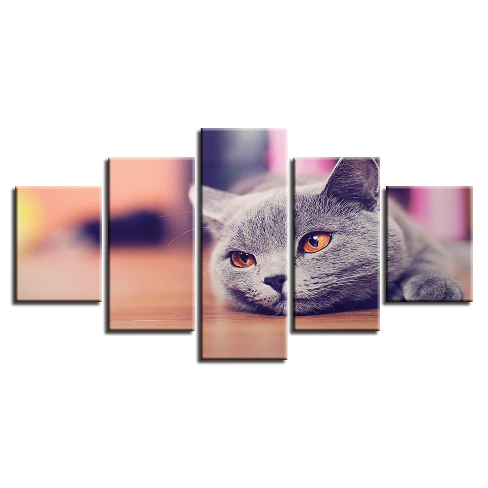 Canvas Paintings For Living Room Poster Framework 5 Panel Grey Cat Pictures Wall Art Animal Home Decor | Дом и сад