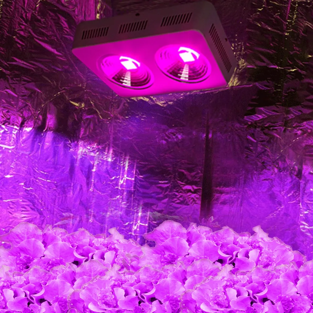 2 шт. светодиодная лампа полного спектра для выращивания растений 400 Вт|led light for