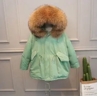 light green 2 Огромный воротник из натурального меха енота, зимнее пальто для женщин, зимняя верхняя одежда, женский пуховик на белом утином пуху, Свободный теплый капюшон размера плюс, парки - Цвет: light green 2