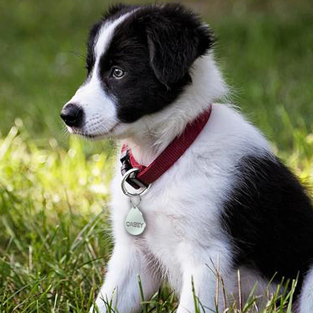 Выгравированная бирка для собак из нержавеющей стали аксессуары на заказ