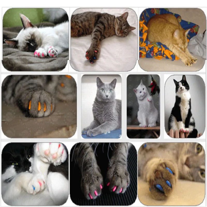 100 шт.-кошки котенок лапы Уход за ногтями колпачок для когтей + 5 клей аппликаторов