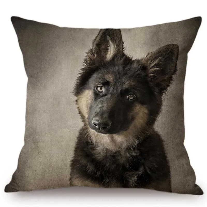 Милые щенки портрет собаки Пудель немецкий Шепард Домашние животные